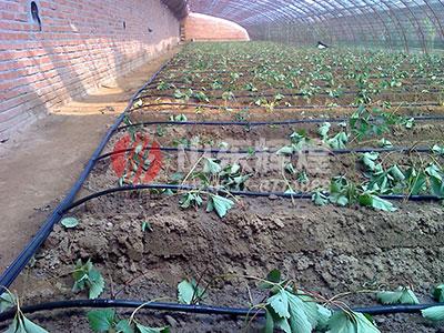 農(nóng)業(yè)灌溉用pe管有污染嗎？